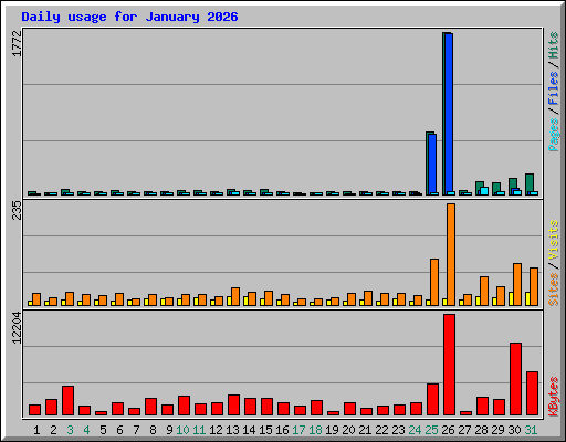 Daily usage for January 2026