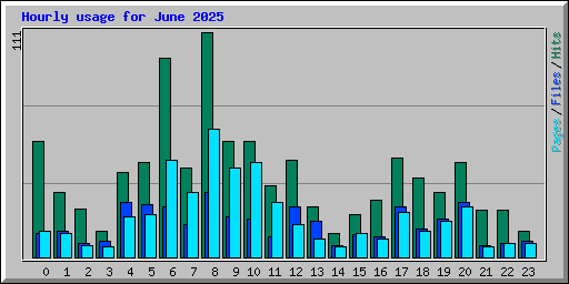 Hourly usage for June 2025