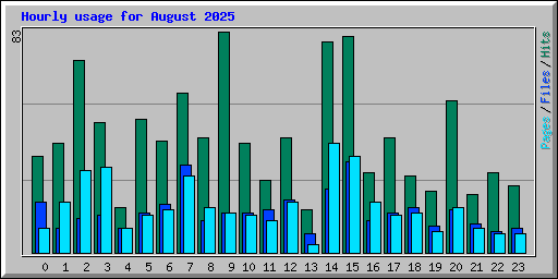 Hourly usage for August 2025