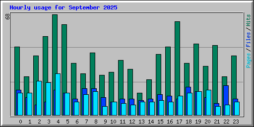 Hourly usage for September 2025