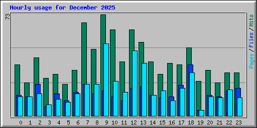 Hourly usage for December 2025
