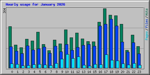 Hourly usage for January 2026