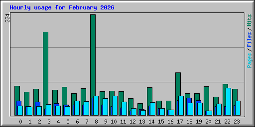 Hourly usage for February 2026